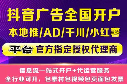 百度SEO推广公司案例精选：助力企业快速崛起